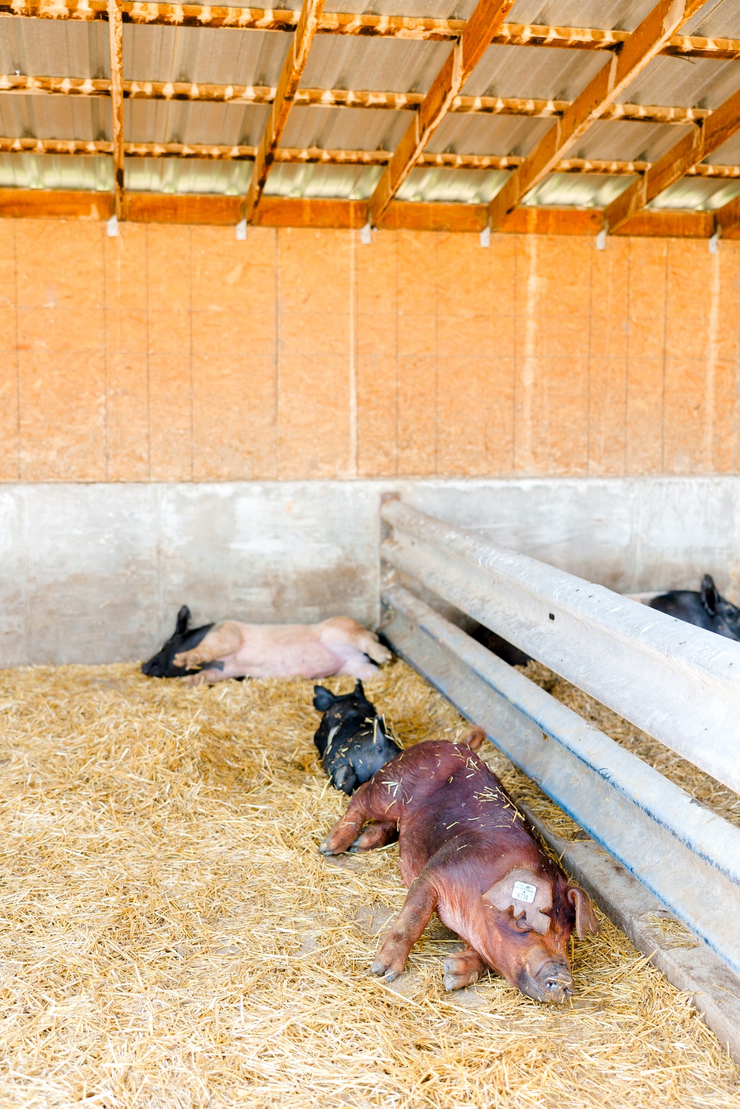Utah Pork Producers Membership