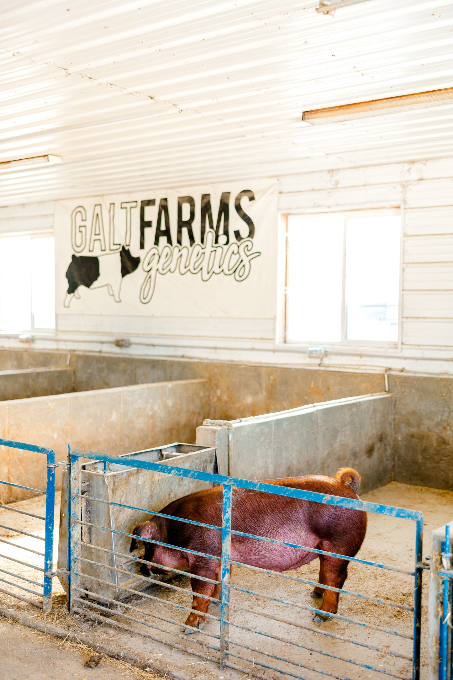 Utah Pork Producers Membership